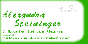alexandra steininger business card